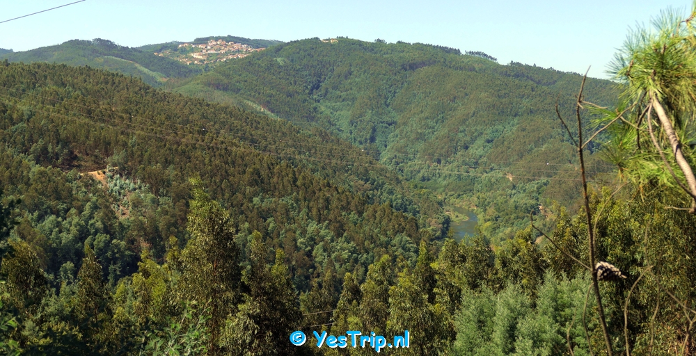 xxx From Serpins to Penacova